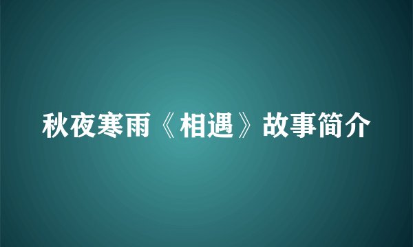 秋夜寒雨《相遇》故事简介