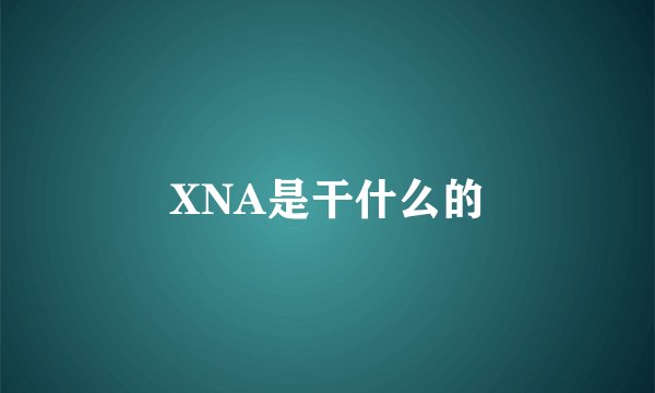 XNA是干什么的
