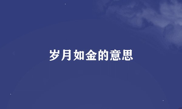 岁月如金的意思