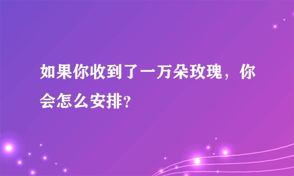如果你收到了一万朵玫瑰，你会怎么安排？