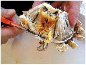 螃蟹的正确吃法有哪些?