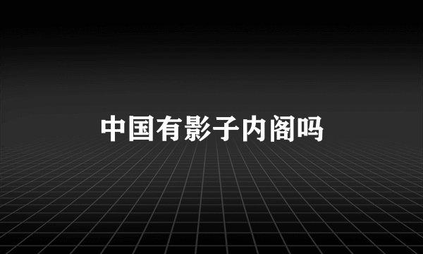 中国有影子内阁吗