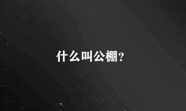 什么叫公棚？