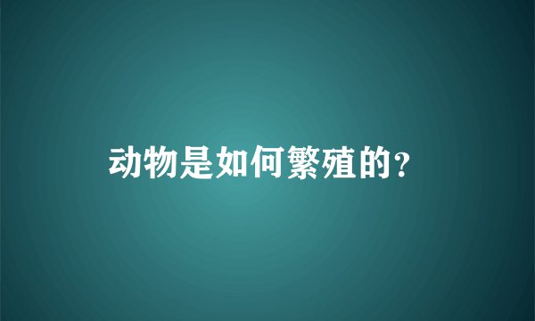 动物是如何繁殖的?