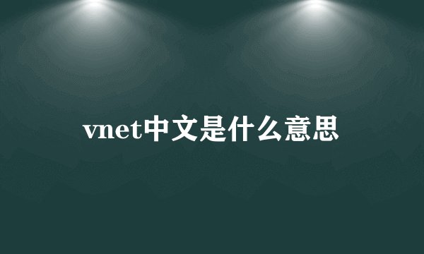 vnet中文是什么意思