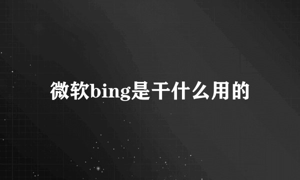 微软bing是干什么用的