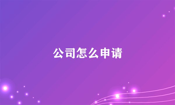 公司怎么申请