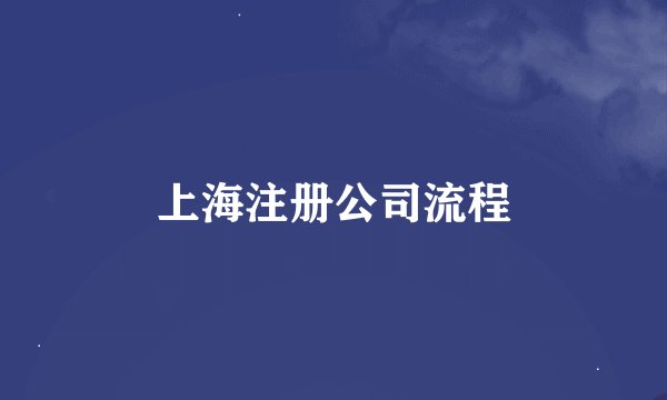 上海注册公司流程