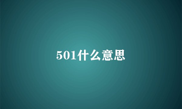 501什么意思