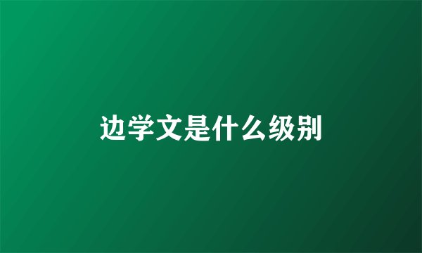 边学文是什么级别