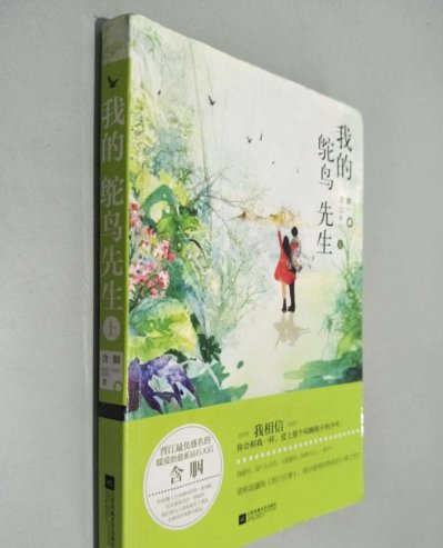 《我的鸵鸟先生》讲的是什么？好看吗？