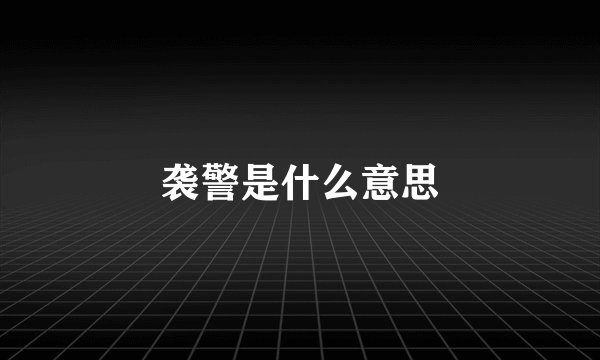 袭警是什么意思