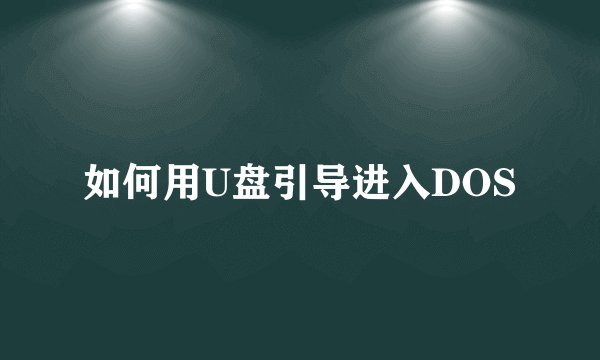 如何用U盘引导进入DOS