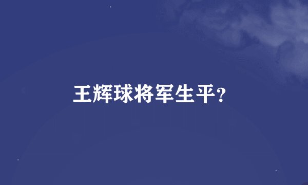 王辉球将军生平?