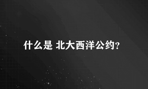 什么是 北大西洋公约？