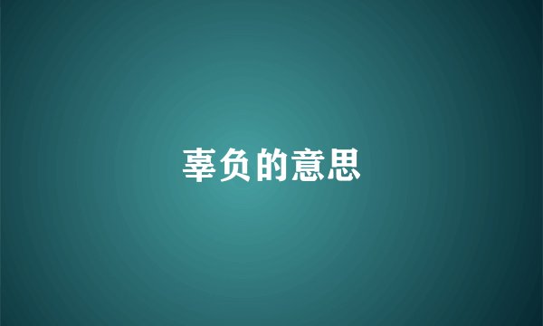 辜负的意思