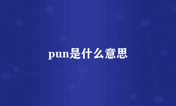 pun是什么意思