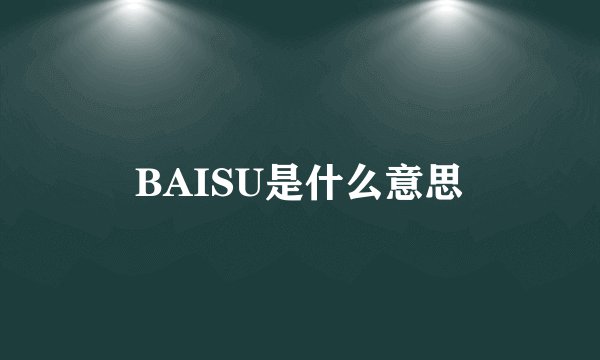 BAISU是什么意思