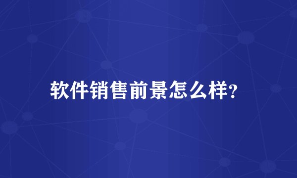 软件销售前景怎么样？