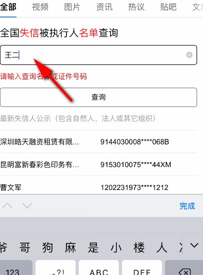 全国失信被执行人名单如何查询