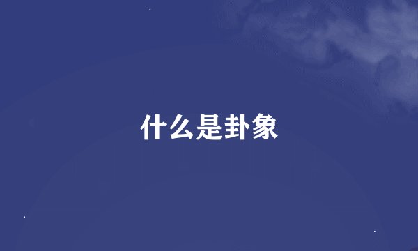 什么是卦象