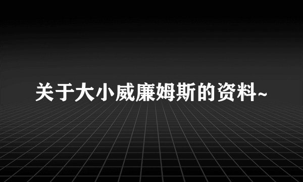 关于大小威廉姆斯的资料~