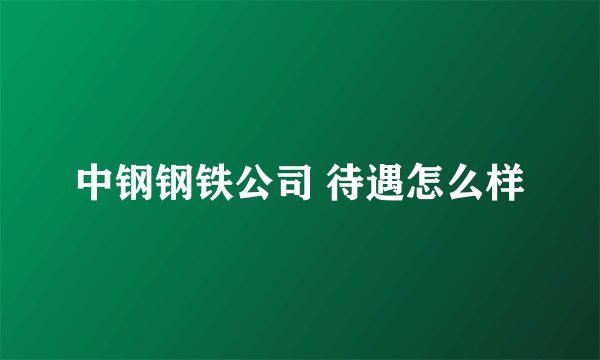 中钢钢铁公司 待遇怎么样