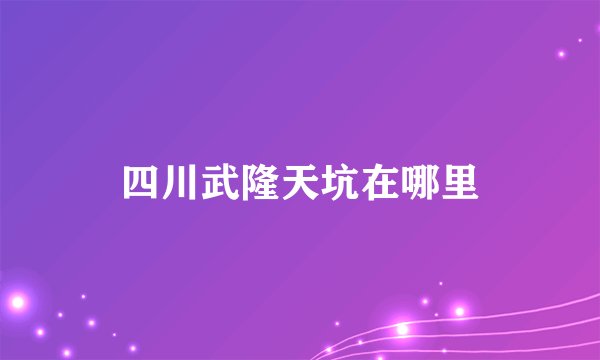 四川武隆天坑在哪里