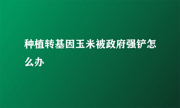 种植转基因玉米被政府强铲怎么办