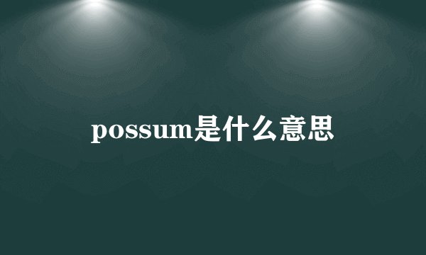 possum是什么意思