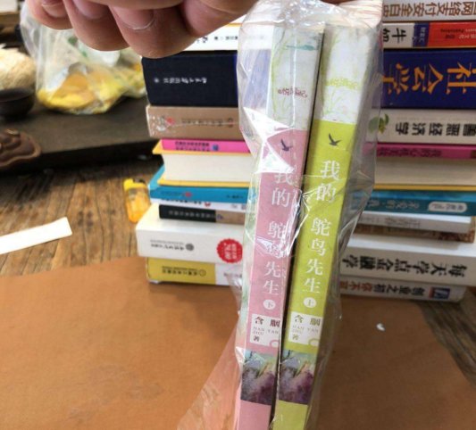 《我的鸵鸟先生》讲的是什么?好看吗?