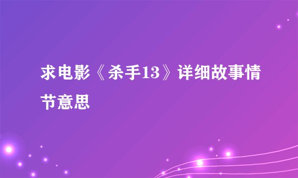 求电影《杀手13》详细故事情节意思