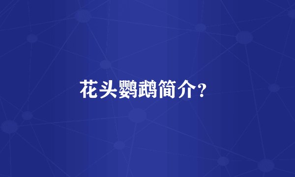 花头鹦鹉简介？