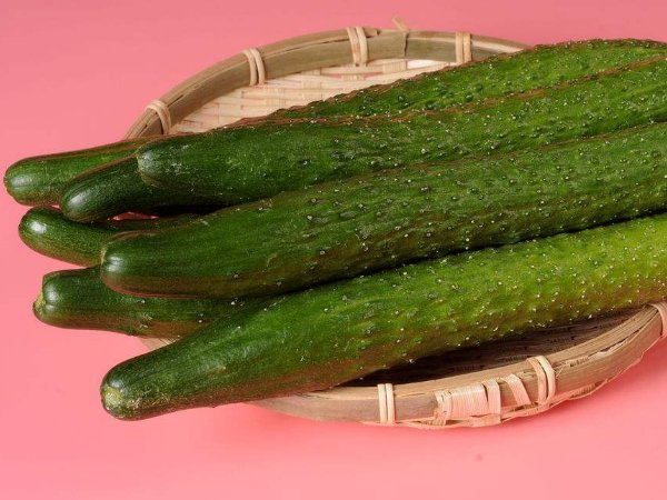低脂肪低热量的食物有哪些?