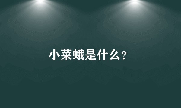 小菜蛾是什么？