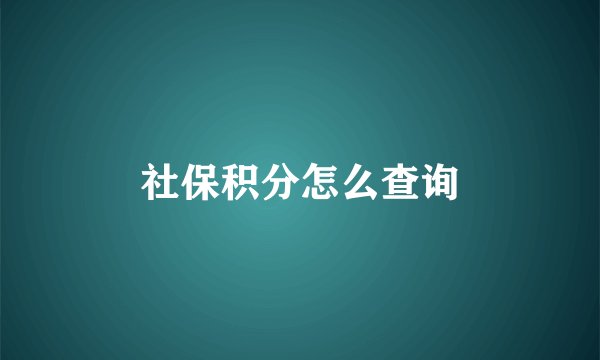 社保积分怎么查询