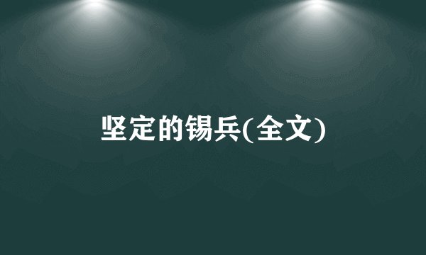 坚定的锡兵(全文)