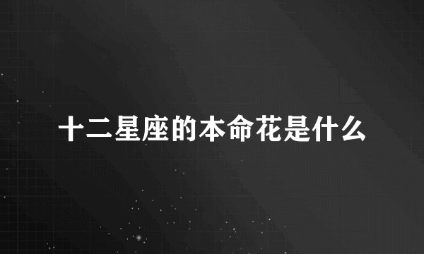 十二星座的本命花是什么