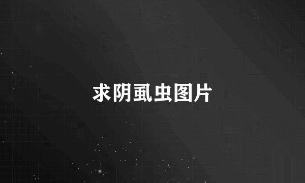 求阴虱虫图片