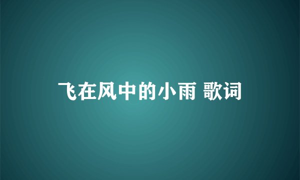 飞在风中的小雨 歌词