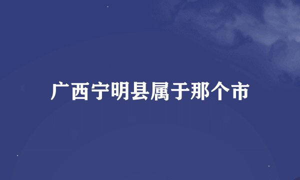 广西宁明县属于那个市