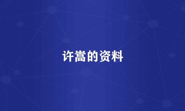 许嵩的资料
