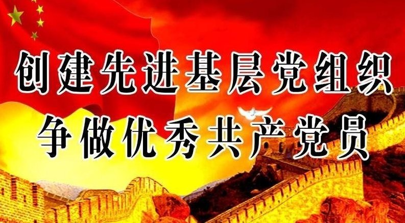 国有企业中党的基层组织发挥什么作用