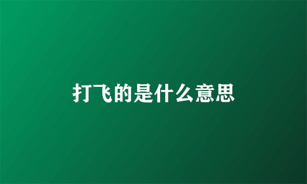 打飞的是什么意思