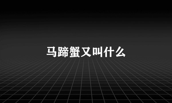马蹄蟹又叫什么