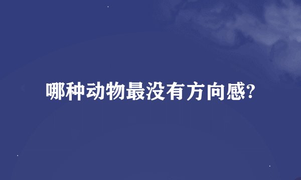 哪种动物最没有方向感?