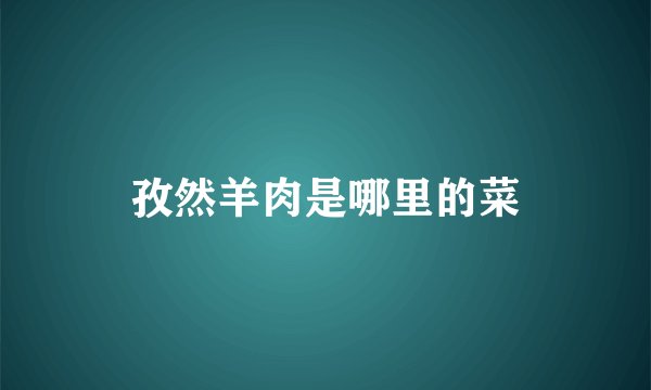 孜然羊肉是哪里的菜