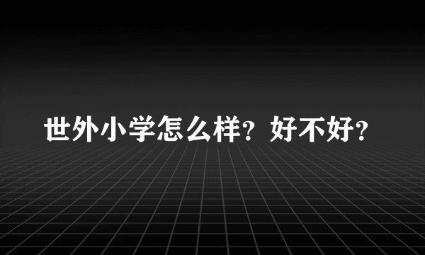 世外小学怎么样？好不好？