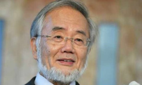 到今年为止,日本出现多少位诺贝尔奖得主?