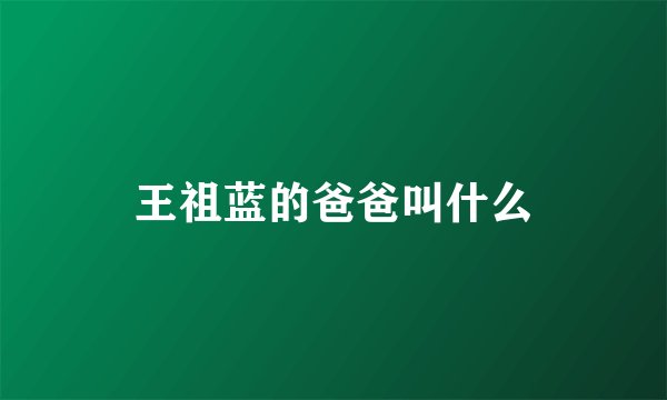 王祖蓝的爸爸叫什么